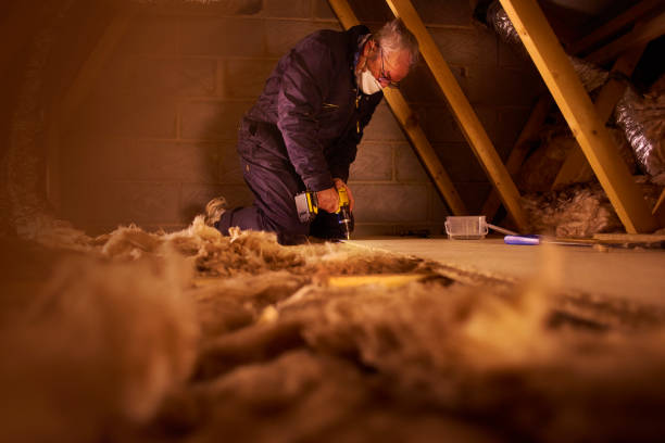 Best Specialized Insulation Services in New Vienna, OH